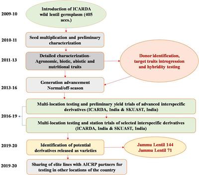 Evaluation and identification of advanced lentil interspecific derivatives resulted in the development of early maturing, high yielding, and disease-resistant cultivars under Indian agro-ecological conditions